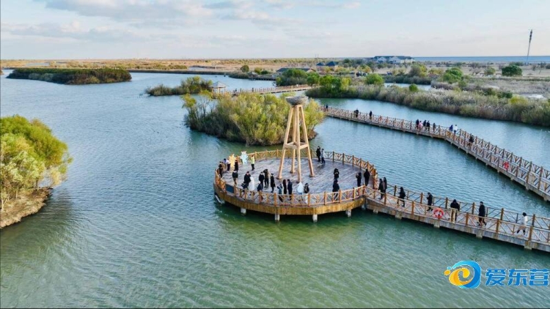 表現的頂尖 表現的頂尖